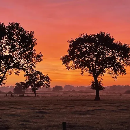 Apartamento Kaelberstall Zetel