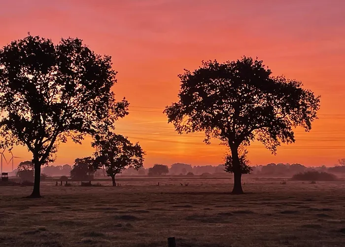 アパート Kaelberstall Zetel